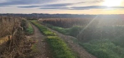 Finca rústica en venta en Plasencia de Jalón, Plasencia de Jalón