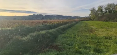 Finca rústica en venta en Plasencia de Jalón, Plasencia de Jalón