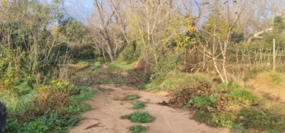 Finca rústica en venta en Plasencia de Jalón, Plasencia de Jalón