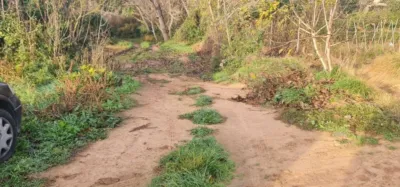 Finca rústica en venta en Plasencia de Jalón, Plasencia de Jalón
