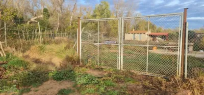 Finca rústica en venta en Plasencia de Jalón, Plasencia de Jalón