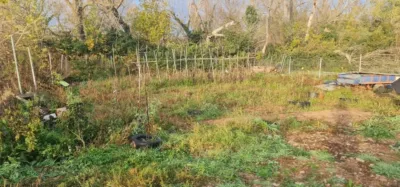 Finca rústica en venta en Plasencia de Jalón, Plasencia de Jalón