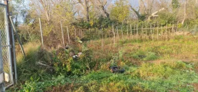 Finca rústica en venta en Plasencia de Jalón, Plasencia de Jalón