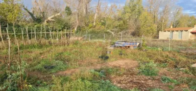 Finca rústica en venta en Plasencia de Jalón, Plasencia de Jalón