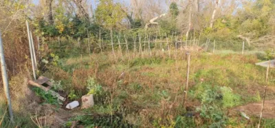 Finca rústica en venta en Plasencia de Jalón, Plasencia de Jalón