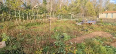 Finca rústica en venta en Plasencia de Jalón, Plasencia de Jalón