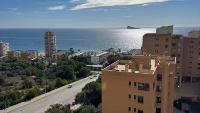 Apartment in Platja de Ponent photo 12