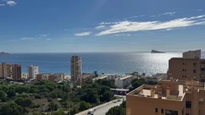 Apartment in Platja de Ponent photo 13