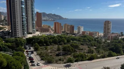 Apartment in Platja de Ponent photo 16