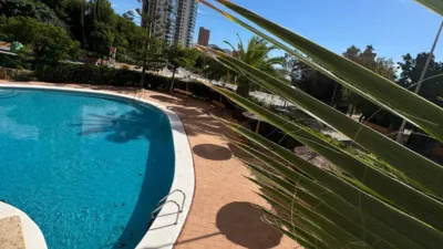 Apartment in Platja de Ponent photo 26