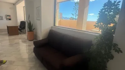 Apartment in Platja de Ponent photo 32