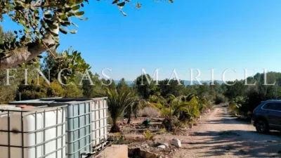 Rustic finca in Mas Borràs-El Vendrell photo 4