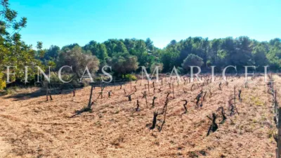 Rustic finca in Mas Borràs-El Vendrell photo 6