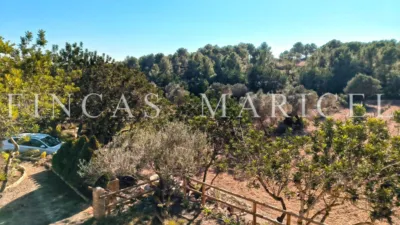 Rustic finca in Mas Borràs-El Vendrell photo 7
