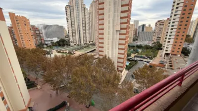 Apartment in Racó de l'Oix photo 18