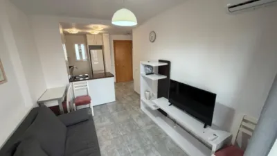 Apartment in Racó de l'Oix photo 9