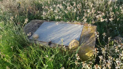 Rustic finca in Yecla photo 2
