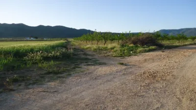 Rustic finca in Yecla photo 3