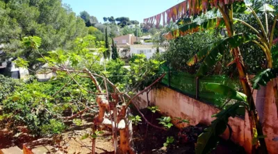 Chalet on Camino Corral de Calafat, 26 photo 58