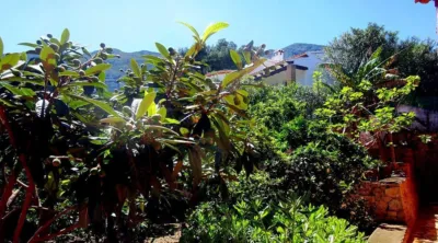 Chalet on Camino Corral de Calafat, 26 photo 69