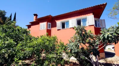 Chalet on Camino Corral de Calafat, 26 photo 75