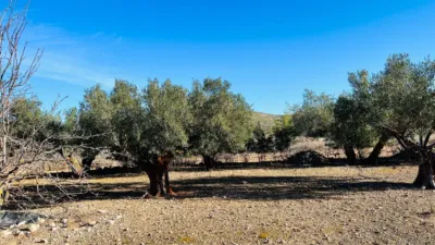 Terreno en venta en Cañada - Vista 2