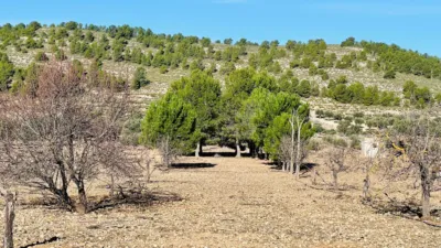 Terreno en venta en Cañada - Vista 3