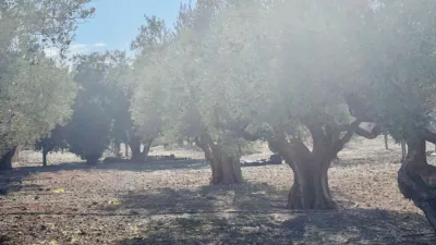 Terreno en venta en Cañada - Vista 4