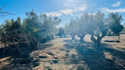 Terreno en venta en Cañada - Més