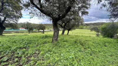 Rustic Finca in Malpartida de Plasencia photo 11