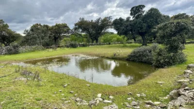 Rustic Finca in Malpartida de Plasencia photo 12