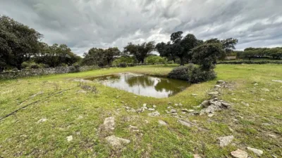 Rustic Finca in Malpartida de Plasencia photo 13