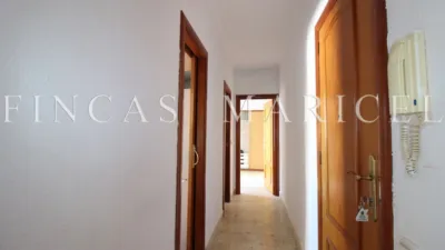 Apartment in Vallpineda-Santa Bàrbara photo 8