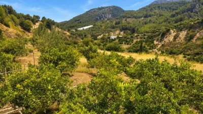Casa - Vista 4