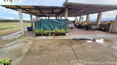 Finca rústica en venta en Benimuslem, Benimuslem de 180.000 €