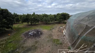 Finca rústica en venta en Benimuslem, Benimuslem de 180.000 €