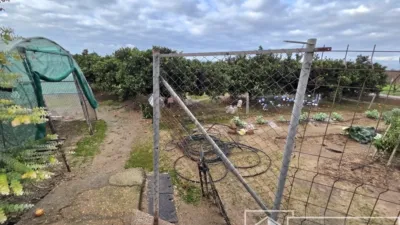 Finca rústica en venta en Benimuslem, Benimuslem de 180.000 €