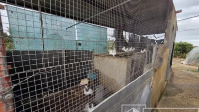 Finca rústica en venta en Benimuslem, Benimuslem de 180.000 €