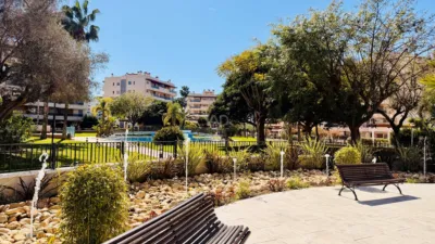 Apartment in Elche photo 11