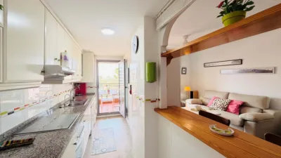 Apartment in Elche photo 21