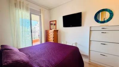 Apartment in Elche photo 24