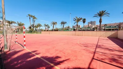 Apartment in Elche photo 10