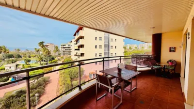 Apartment in Elche photo 12