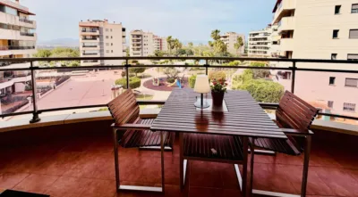 Apartment in Elche photo 13