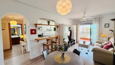 Apartment in Elche photo 14