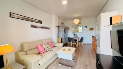 Apartment in Elche photo 17