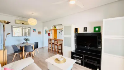Apartment in Elche photo 19