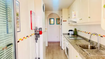 Apartment in Elche photo 20