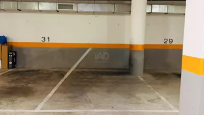 Apartment in Elche photo 29