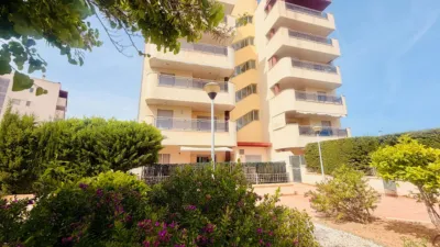 Piso – Elx - Elche - Vista 5